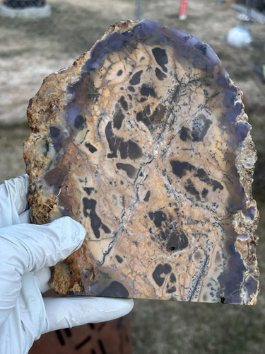 83lb amethyst sage slab - sage,