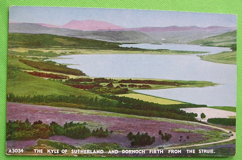 The kyle sutherland and - the,