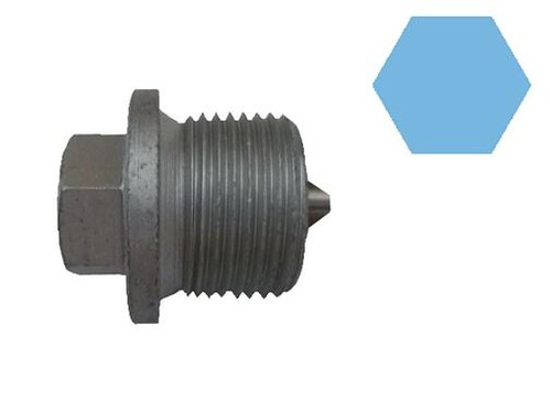 Corteco 49362591 screw plug - 49362591,