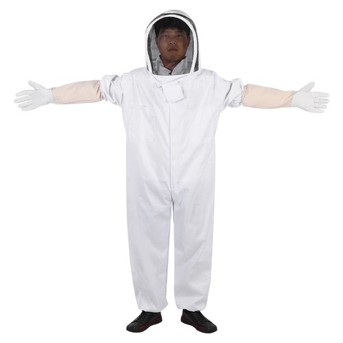 Professional beekeeping for - beekeeping,