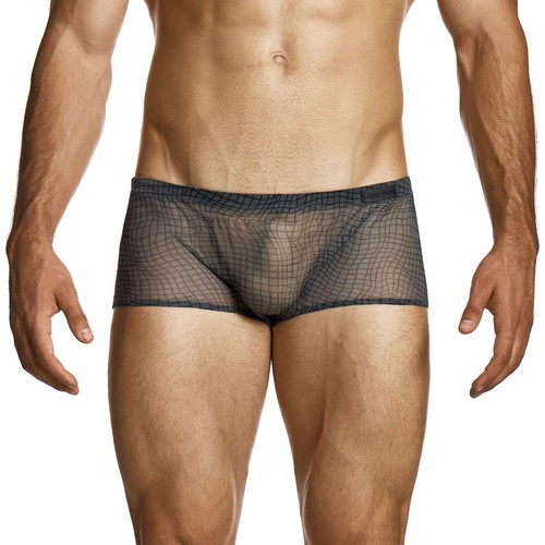 Modus vivendi abstract net - modus,