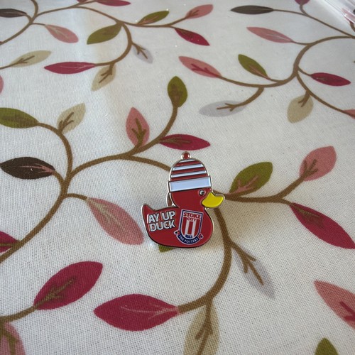 Stoke city pin badge - pin,
