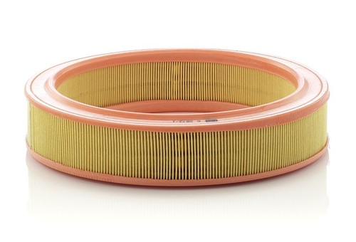 Mann filter c2873 - filter,