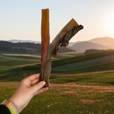 Camel Skin Roll Natural Dog