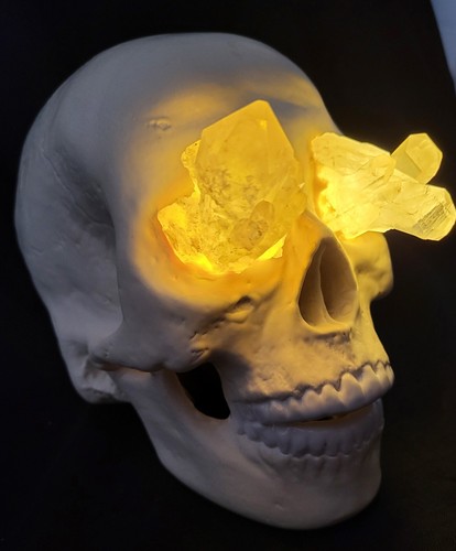 Human skull crystal - human,