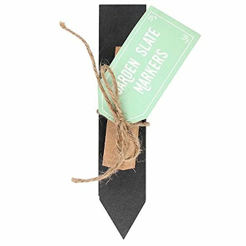 Set slate plant markers - plant,