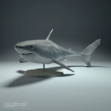 90mm Great White Shark Resin
