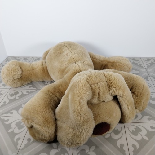 Golden bear puppy - bear,