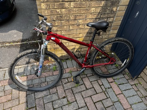 Mountain bike - mountain,