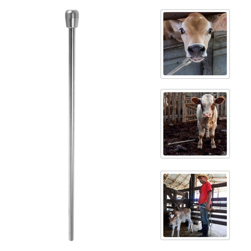 Tube for calf - feeder, cow