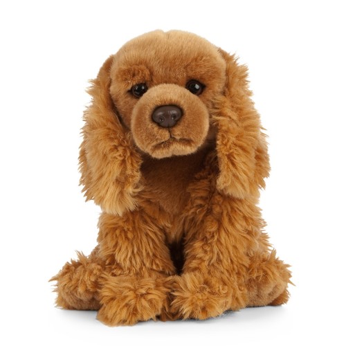 Sitting cocker spaniel - spaniel, puppy