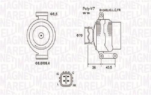 Genuine magneti marelli - genuine,