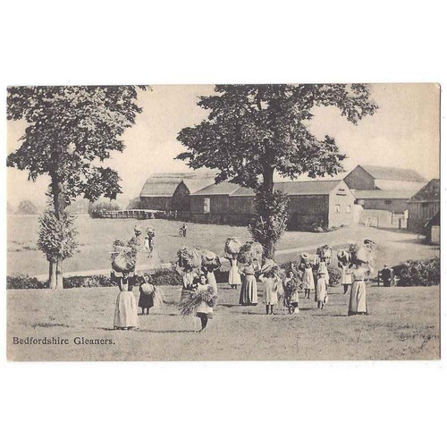 Bedfordshire gleaners - bedfordshire,