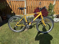 Dawes Shuniah Mountain Bike