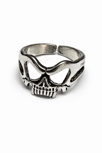 Silver plated skeleton - silver, head