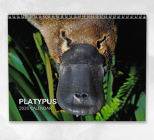 Platypus Calendar 2026