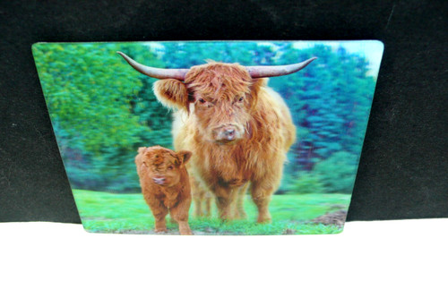 Scotland highland beef - 3d,