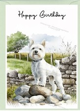 West highland white terrier - terrier, /