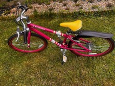 Raleigh Pop 24” Kids Bike