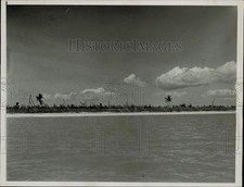 1937 Press Photo Coconut Trunks Line Everglades Beach After Hurricane, Lakeland