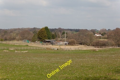 Photo 6x4 smallholding west - smallholding,