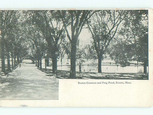 Unused pre 1907 frog pond - pre-1907,