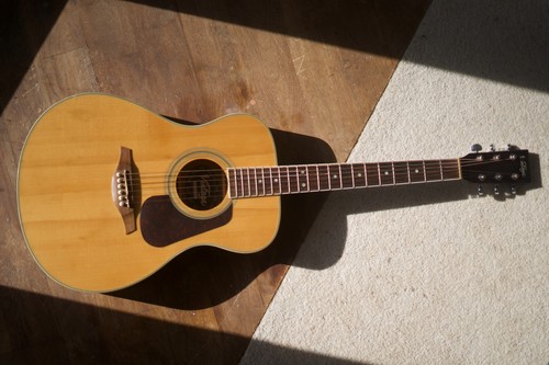 Gorgeous vintage v300 - gorgeous, acoustic