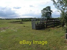 Photo 6x4 Cattle crush and