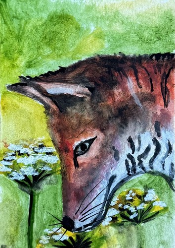 Aceo original watercolour - aceo,