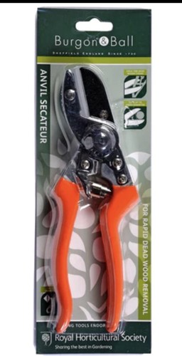 Burgon ball rhs - -,
