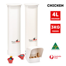 Royal rooster chicken - royal,
