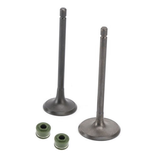Head intake exhaust valves - intake,