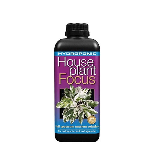 Hydroponic houseplant - hydroponic,