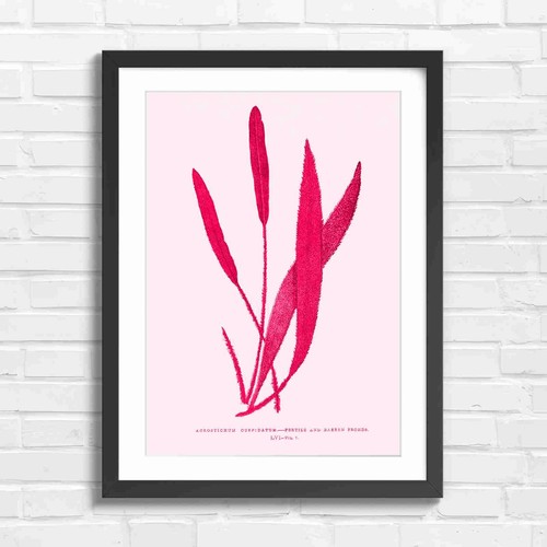 Botanical vintage fern fronds - fern,