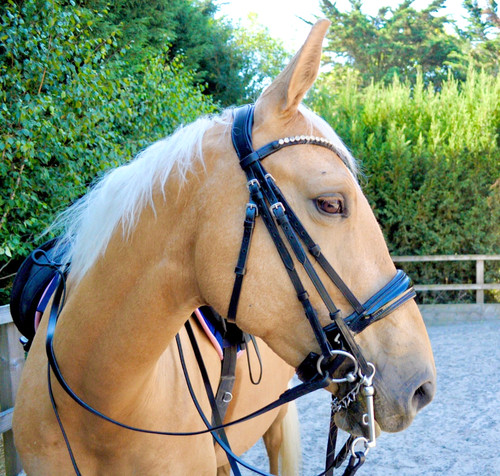 Double bridle black patent - bridle,