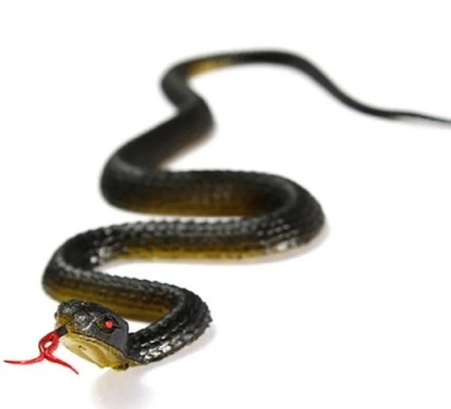 Rubber snake scary realistic - -,