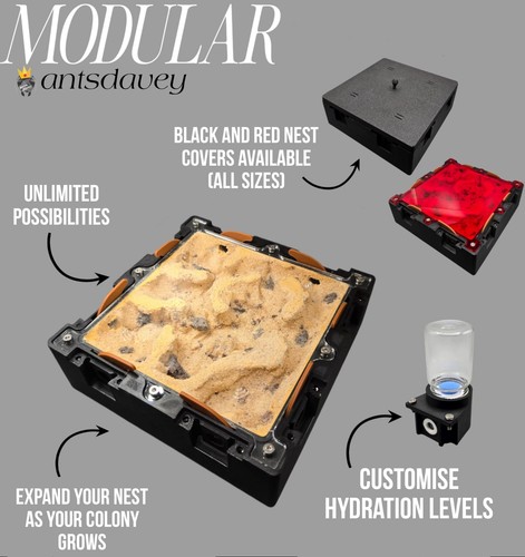 Modular medium nest - medium, |