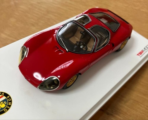 Tsm model alfa romeo 33 - alfa,