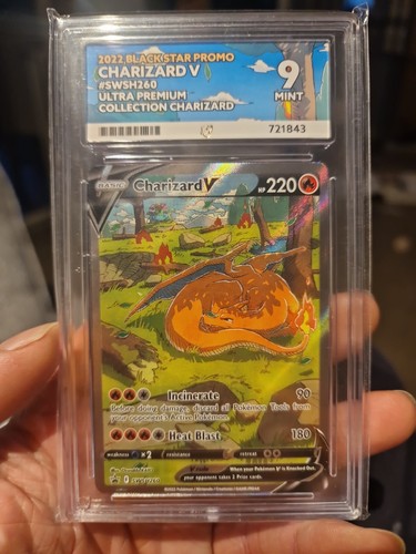 Pokémon tcg charizard - pokémon,