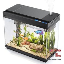 Fish Tank Fish Aquarium, Fish