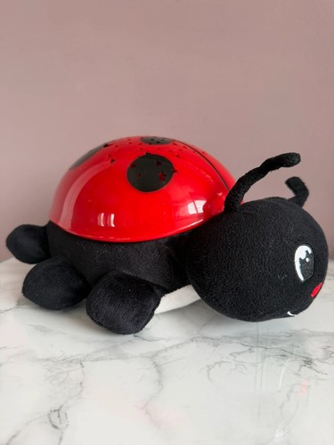 Summer infant ladybird