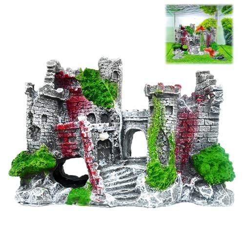 Aquarium castle fish - fish, tank