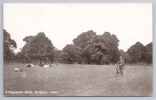 Osterley Park Man w Bicycle & Cows Postcard c.1915 Wm White Isleworth London
