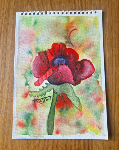 Original watercolour poppy - original,