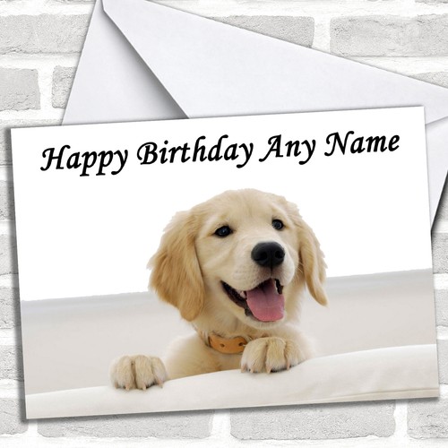 Stunning labrador puppy dog - labrador,