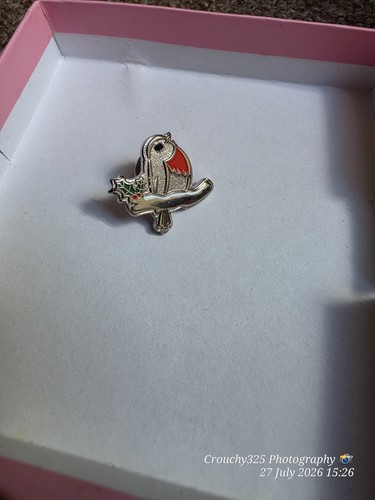 Robin pin badge - robin,
