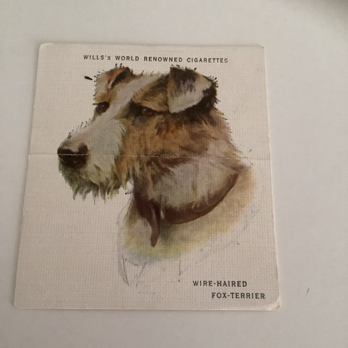1927 wills dogs painting - wills, by