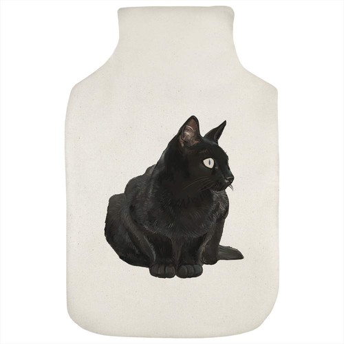 Sitting black cat - black, cat'