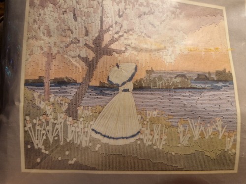Anchor long stitch - stitch, tapestry