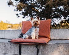 Dream Way Travel Cushion S |
